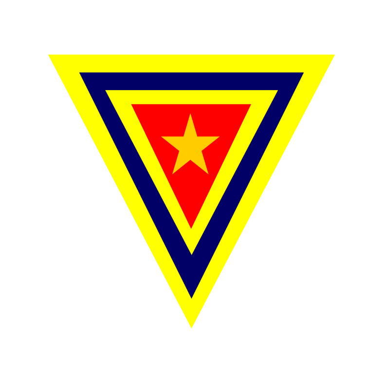 CURSO ESPECIAL DE APERFEIÇOAMENTO DE SARGENTO PMPA                (CEAS 2010)